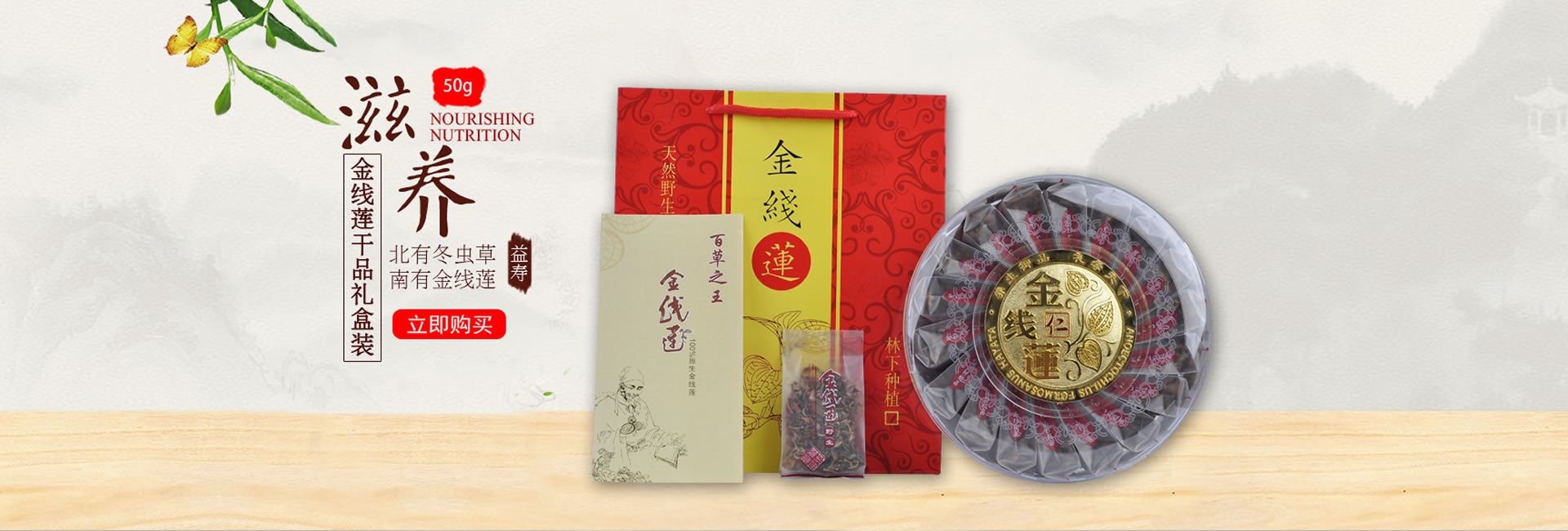 金線蓮茶